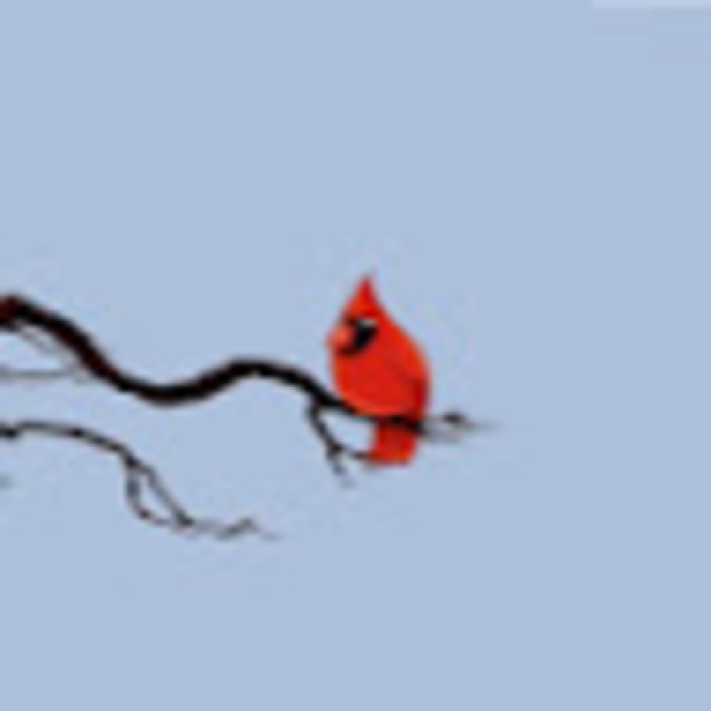 Meet your Posher, Addison